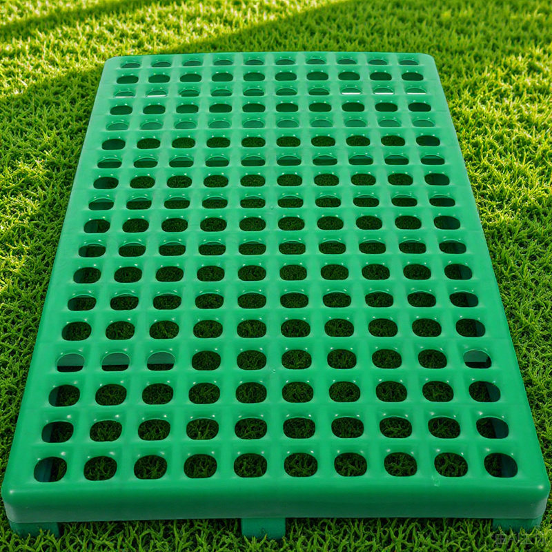 Acupressure Mat Set - أرنب قفص وسادة البلاستيك الصرف الكلمة